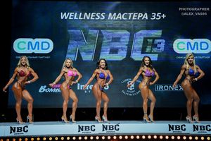 WELLNESS МАСТЕРА +35